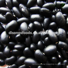 Bean Harvester , Black Bean